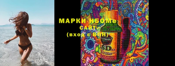 индика Володарск